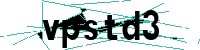 Security verification captcha