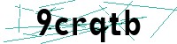 Security verification captcha