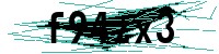 Security verification captcha