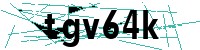 Security verification captcha