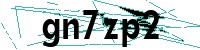 Security verification captcha