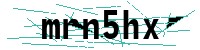 Security verification captcha