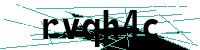 Security verification captcha