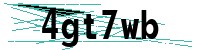 Security verification captcha