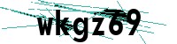 Security verification captcha
