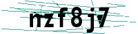 Security verification captcha