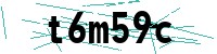Security verification captcha