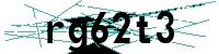 Security verification captcha