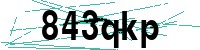 Security verification captcha