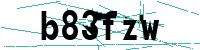 Security verification captcha