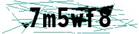 Security verification captcha