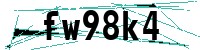 Security verification captcha