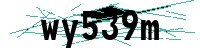 Security verification captcha