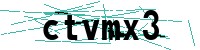 Security verification captcha