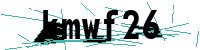 Security verification captcha