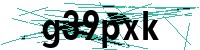 Security verification captcha