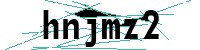 Security verification captcha