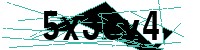 Security verification captcha