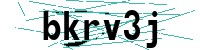 Security verification captcha