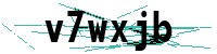 Security verification captcha