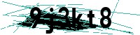 Security verification captcha
