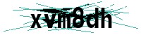 Security verification captcha