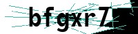Security verification captcha