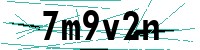 Security verification captcha