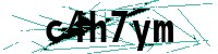 Security verification captcha