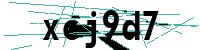Security verification captcha