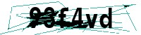 Security verification captcha
