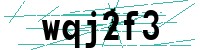 Security verification captcha