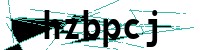 Security verification captcha