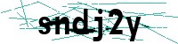Security verification captcha