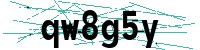 Security verification captcha