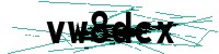 Security verification captcha