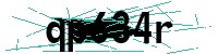 Security verification captcha