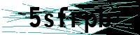 Security verification captcha