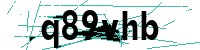Security verification captcha