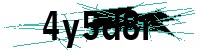 Security verification captcha