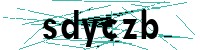 Security verification captcha