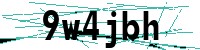 Security verification captcha