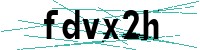 Security verification captcha