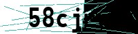 Security verification captcha