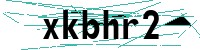 Security verification captcha