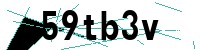 Security verification captcha