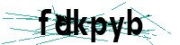 Security verification captcha