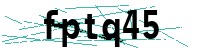 Security verification captcha