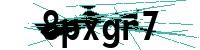 Security verification captcha