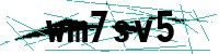 Security verification captcha